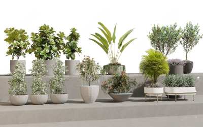 植物盆栽3D模型下载